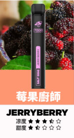 鯊克 SALT SHAQ 7000口拋棄式電子煙 熱賣小黑條 續航持久口味多樣輕巧便攜