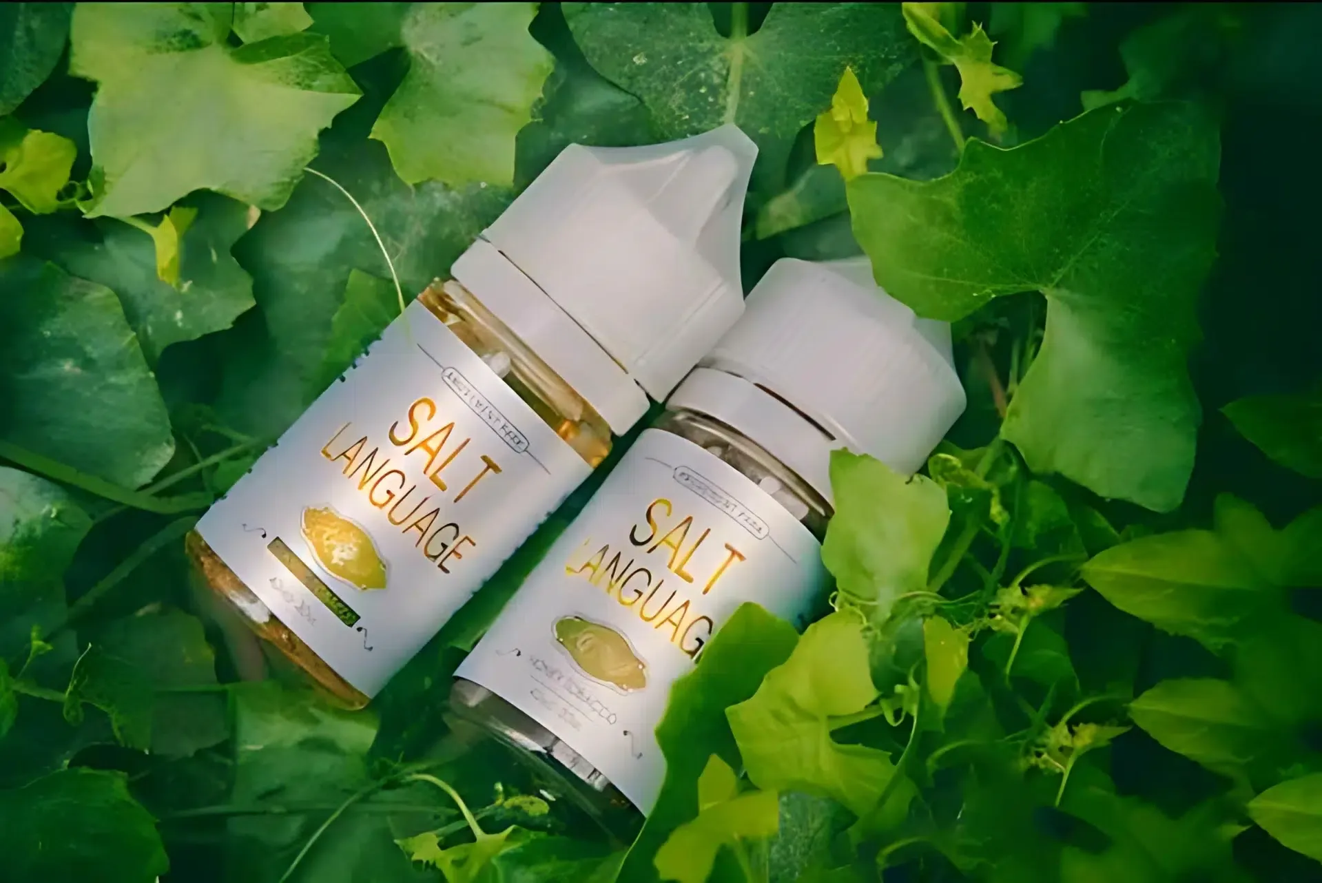 鹽語煙油推薦|35ml・35mg尼古丁鹽・小煙專用5款口味|台灣現貨 2 鹽語煙油/35ml 容量35mg尼古丁鹽小煙專用|台灣現貨 產品實拍 2